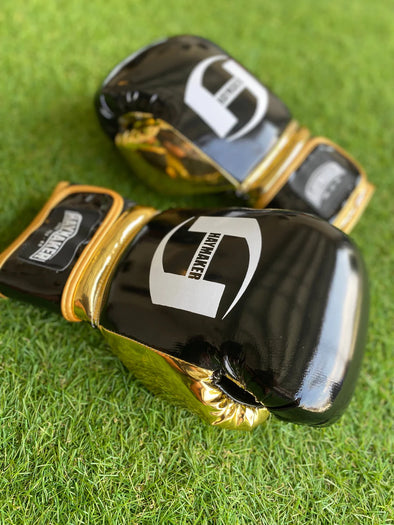 FIGHT NIGHT EDITION | PRO ELITE GLOVES 100% LEATHER